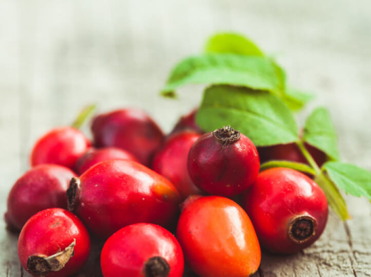 Rosa Canina Rosehip Fruit