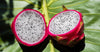 Dragon Fruit