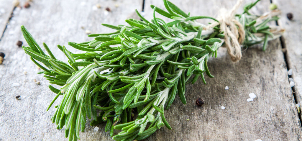 Rosemary Leaf